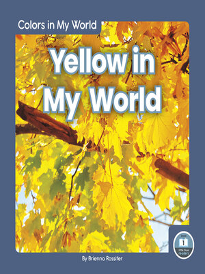 cover image of Yellow in My World